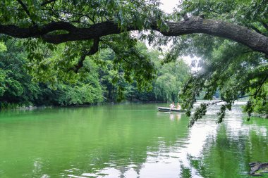 Central Park, New York City, ABD'de bir kanalın yeşil sularında teknede yelken insanlar