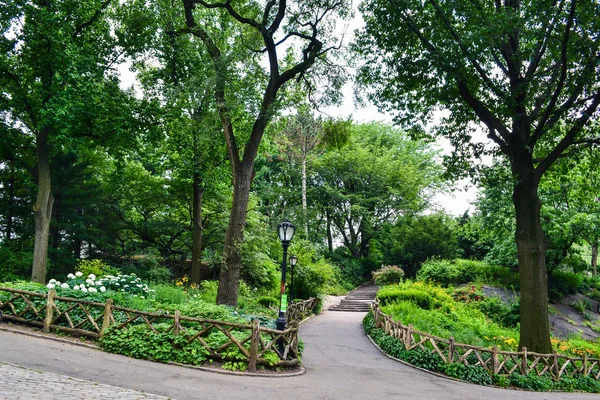 NEW YORK - Walking alleys among big trees in Central Park, New York City, USA