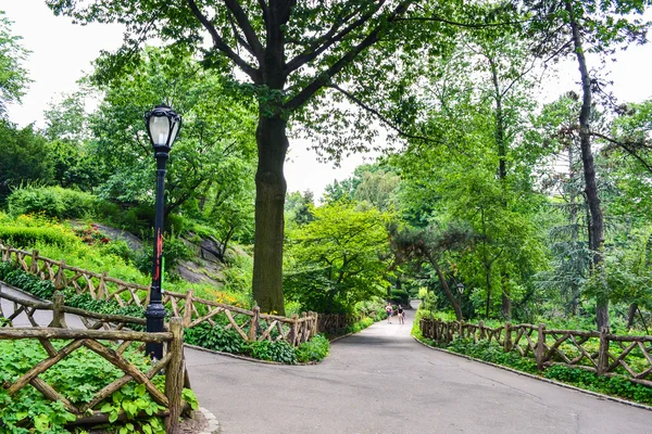 Vandringsleder bland träden i Central Park, New York City, USA — Stockfoto