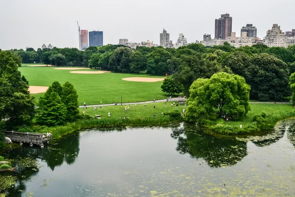 New York, ca. 2011 - großartiger Rasen im Central Park von oben, New York City, USA — Stockfoto