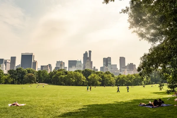 Nowy Jork, Usa - ok. czerwca 2011: zielony trawnik wśród drzew w Central Park, Nowy Jork, Usa — Zdjęcie stockowe