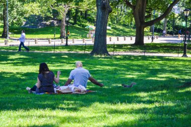 New York, ABD - Haziran 2011 yaklaşık: insanlar bir çim Central Park, New York City, Amerika Birleşik Devletleri bir sincap beslenirler