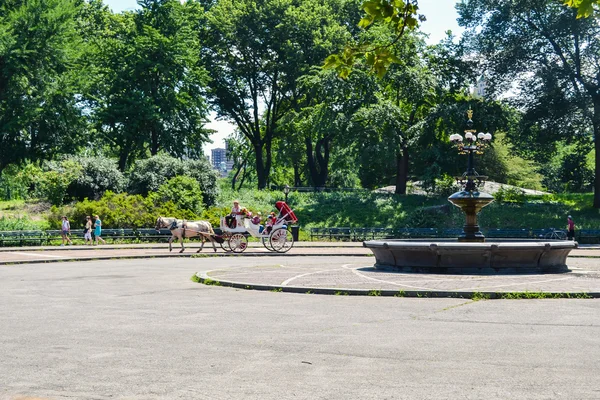 New York, Usa - ca juni 2011: brougham med en häst i Central Park, New York City, Usa — Stockfoto