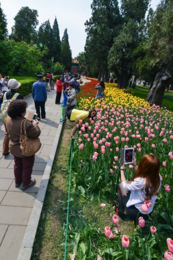 Beijing, Çin - Arpil 2014 yaklaşık. İnsanlar fotoğraf ile Lale parkta hafta sonu Pekin, Çin Nisan 2014 yaklaşık yapmak.