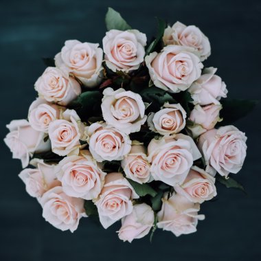 A bouquet of pale pink roses.