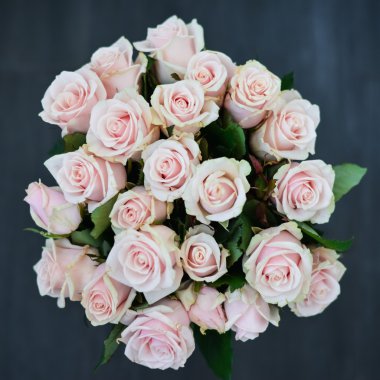 Moskova - 13 Ekim: yaklaşık 13 Ekim 2015 soluk pembe gül buketi.