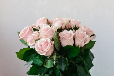 Moskova - 13 Ekim: yaklaşık 13 Ekim 2015 soluk pembe gül buketi.