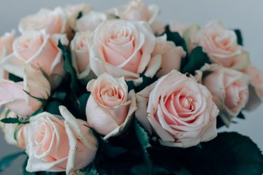 Moskova - 13 Ekim: yaklaşık 13 Ekim 2015 soluk pembe gül buketi.