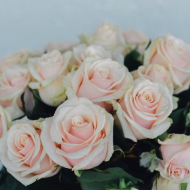 Moskova - 13 Ekim: yaklaşık 13 Ekim 2015 soluk pembe gül buketi.