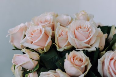 Moskova - 13 Ekim: yaklaşık 13 Ekim 2015 soluk pembe gül buketi.