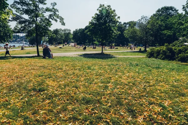 STOCKHOLM, SWEDEN - CIRCA JULY 2014: field with yellow leafs in the park in Stockholm, Sweden circa July 2014. — Stockfoto