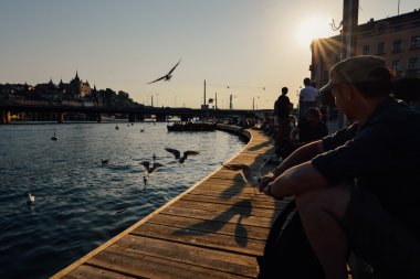 Stockholm, İsveç - Temmuz 2014 yaklaşık: martılar Stokholm, İsveç Temmuz 2014 yaklaşık dolgu üzerinde.