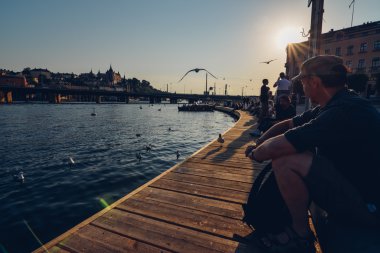 Stockholm, İsveç - Temmuz 2014 yaklaşık: martılar Stokholm, İsveç Temmuz 2014 yaklaşık dolgu üzerinde.