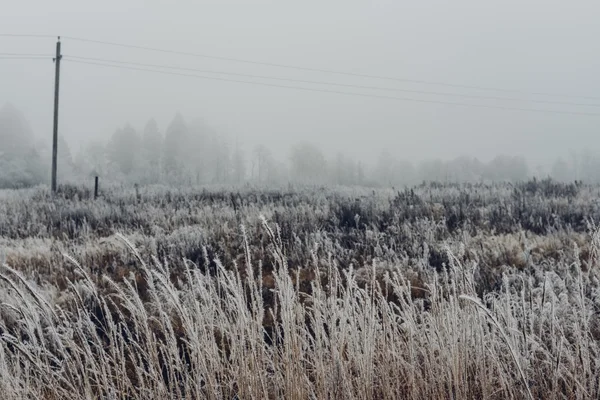 MOSCOW REGION, RUSSIA - NOVEMBER 7: foggy weather in the morning in Moscow region suburbs on the November 7th 2015. — Stock Photo, Image