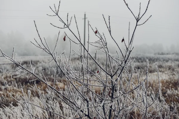 REGIÓN DE MOSCÚ, RUSIA - 7 DE NOVIEMBRE: tiempo brumoso por la mañana en los suburbios de la región de Moscú el 7 de noviembre de 2015 . — Foto de Stock