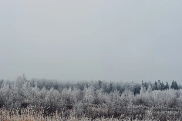 MOSCOW REGION, RUSSIA - NOVEMBER 7: foggy weather in the morning in Moscow region suburbs on the November 7th 2015. — Stock Photo, Image