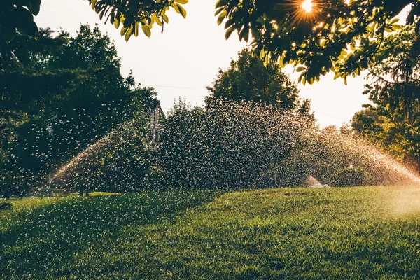 FORT MITCHELL, KENTUCKY - CIRCA 2011: salpicaduras de agua del rociador del jardín brilla a la luz del atardecer en el patio delantero de la casa en Fort Mitchell, KY, EE.UU. circa verano 2011 . — Foto de Stock