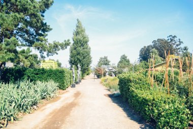 Napa Valley, Ca - 2011 yaklaşık: garden Yaz 2011 yaklaşık Napa Vadisi, Kuzey Kaliforniya, ABD.