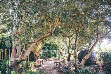 Napa Valley, Ca - 2011 yaklaşık: garden Yaz 2011 yaklaşık Napa Vadisi, Kuzey Kaliforniya, ABD.