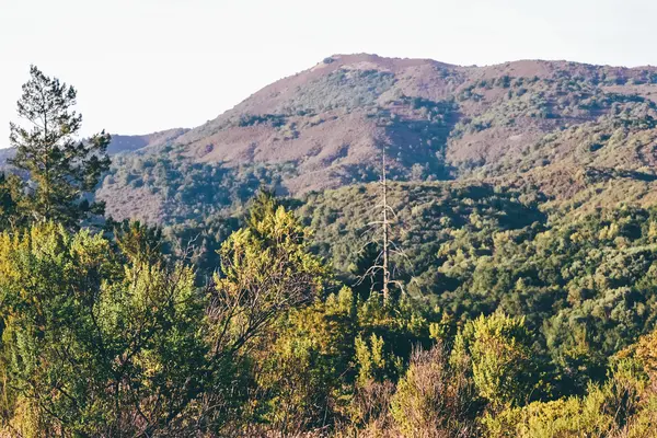 Nordkalifornien, USA - ca. 2011: Berglandschaft in Nordkalifornien, USA ca. Sommer 2011. — Stockfoto