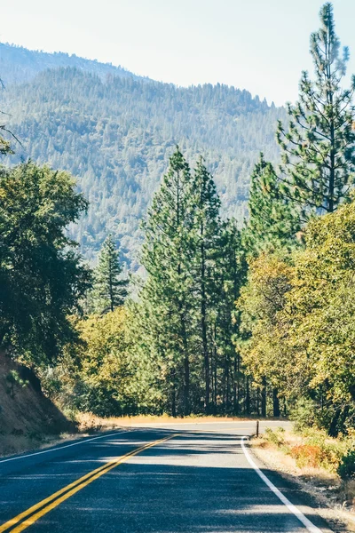 Norra Kalifornien, Usa - Circa 2011: road i bergen i norra Kalifornien, Usa circa sommaren 2011. — Stockfoto