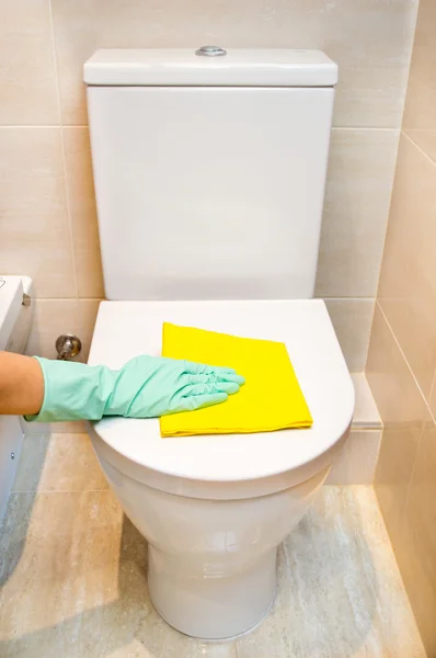 Dona de casa limpeza do banheiro — Fotografia de Stock
