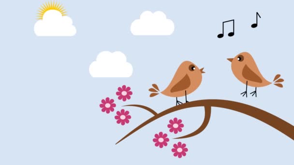 Pájaros en la primavera cantando — Vídeos de Stock