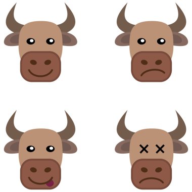 birkaç kahverengi inek kafa