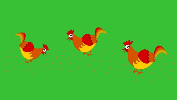 Кури Чіпляються Насіння Дворі Зеленим Фоном Анімація — стокове відео