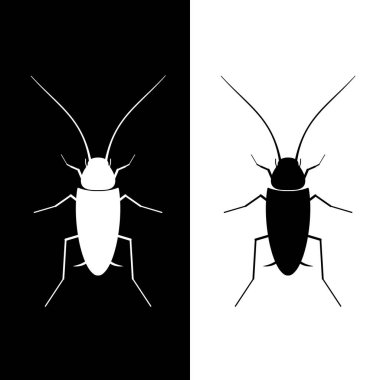 Siyah ya da beyaz arka planı olan gölgeli bir hamamböceği.