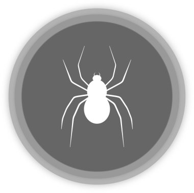 Bir örümcek gri bir panel