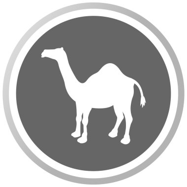 Bir deve gri bir panel