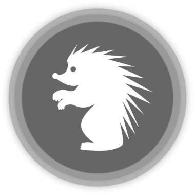 Gri bir panel bir kirpi