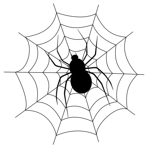 Una araña en una tela — Vector de stock