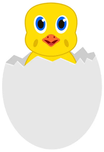 A chick out of the egg — Stock Vector