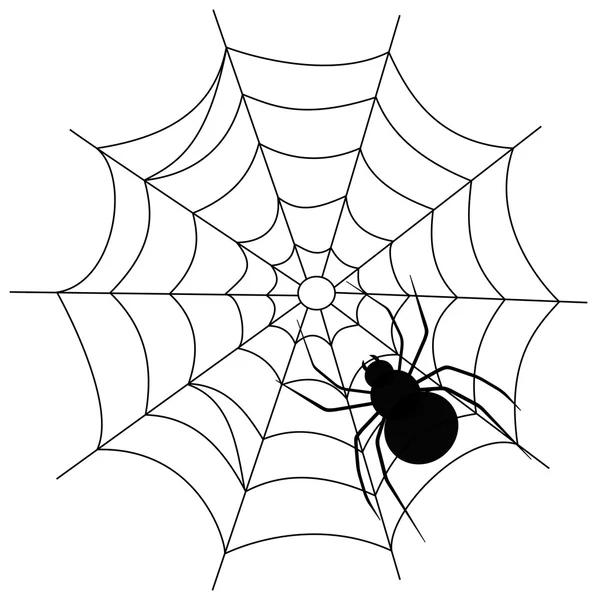 Pavouk na síti — Stockový vektor