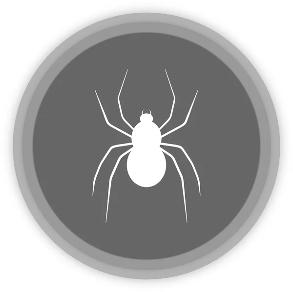 Павук в сірій панелі — стоковий вектор