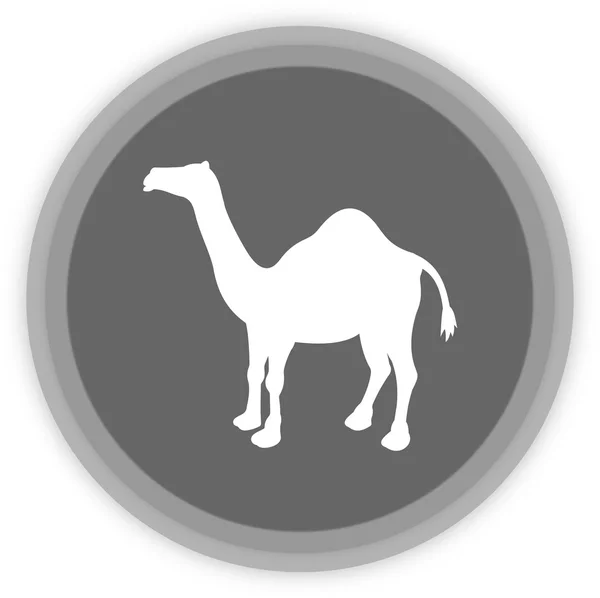 A camel in a grey Panel — Stock Vector