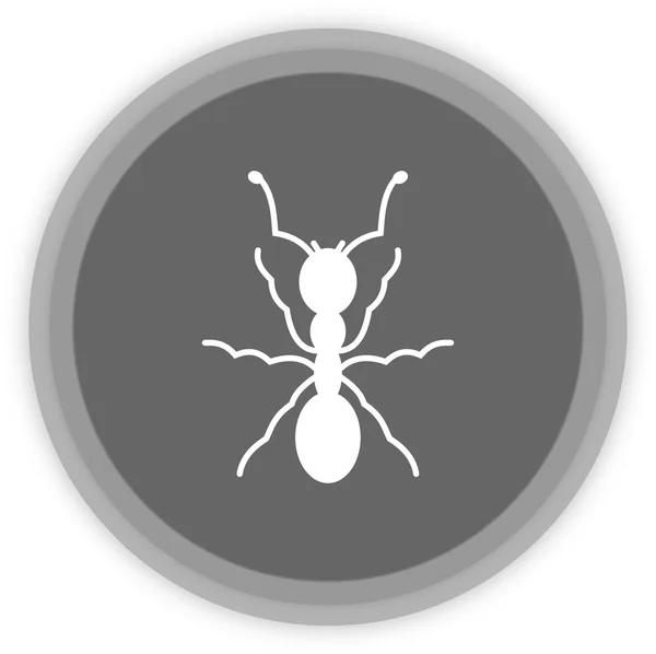 An ant in a grey Panel — Stock Vector