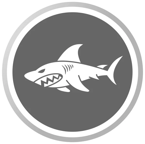 A shark in a grey panel — Stock Vector