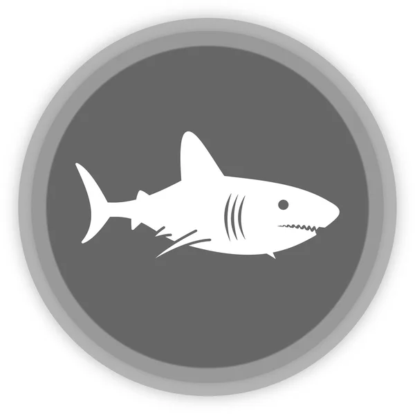 A shark in a grey panel — Stock Vector