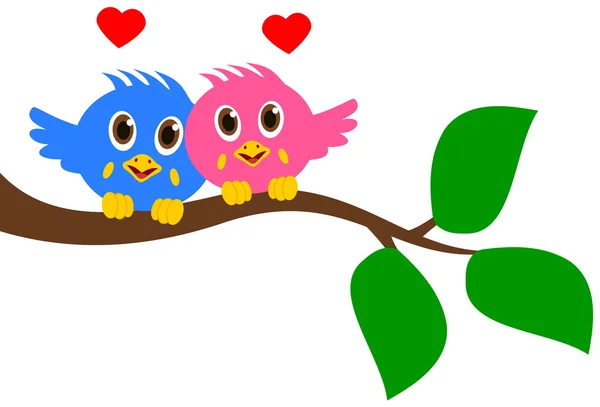 Bird couple on branch — Stock Vector