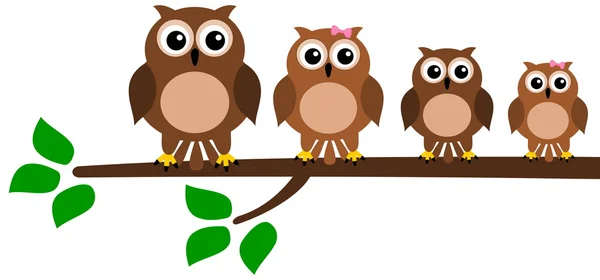 Family bird on branch — Stock Vector