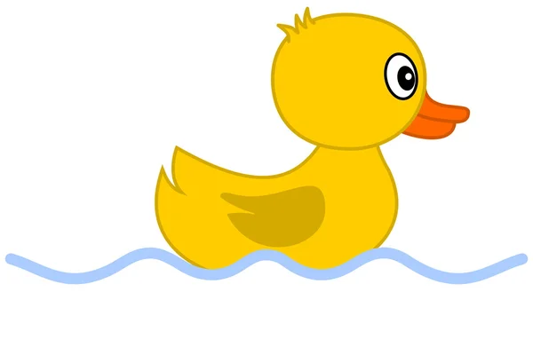 Duckling swimming — Stock Vector