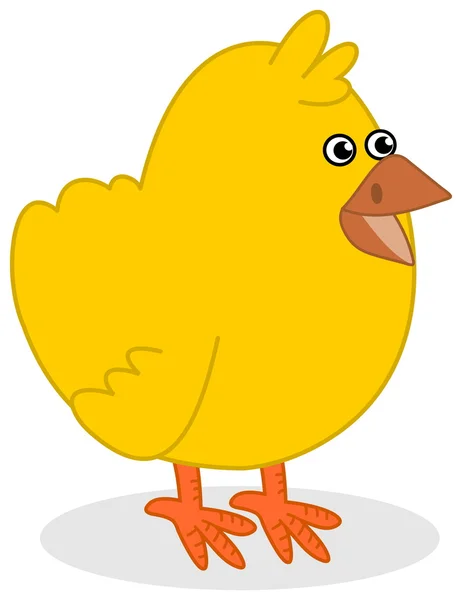 Chick profile — Stock Vector