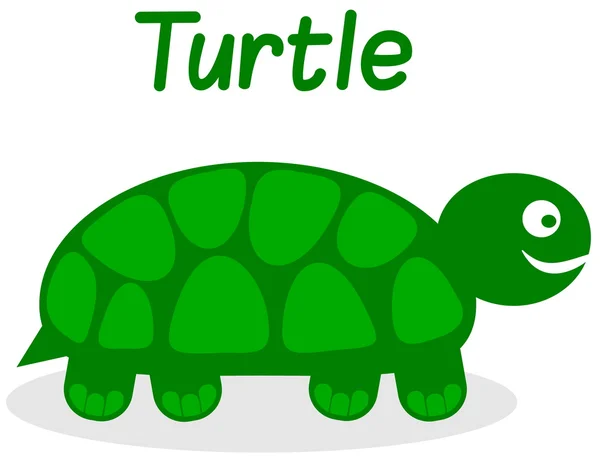 Profile turtle — Stock Vector