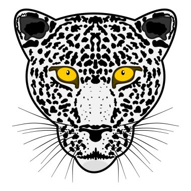 Kafa leopar