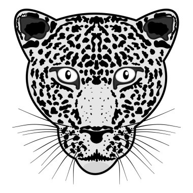 Kafa leopar