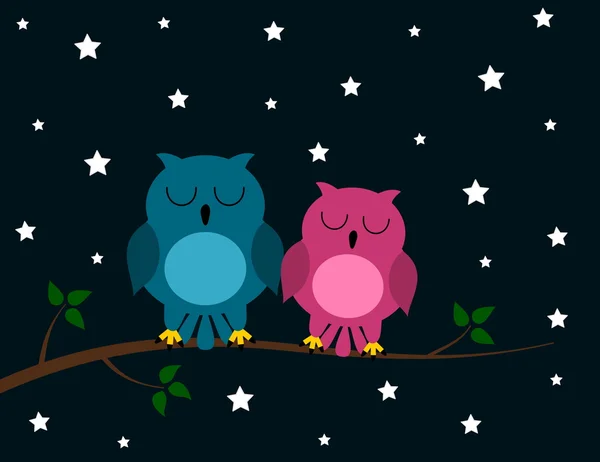 An owl couple night — Stock Vector