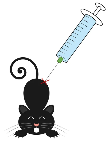 注射器で刺された猫 — ストックベクタ